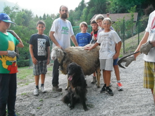 Esperienze con animali